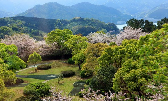 詳細(xì)介紹日本注冊公司需要什么資料？